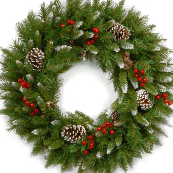 Frosted Red Berry 24 inch Christmas Wreath - Picture 1 of 4